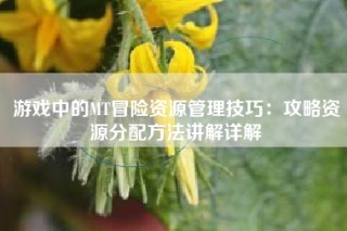 游戏中的MT冒险资源管理技巧：攻略资源分配方法讲解详解