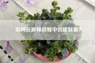 如何在巅峰战舰中创建联盟？
