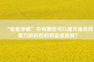 “蛇蛇争霸”中有哪些可以提升角色防御力和抗性的装备或道具？