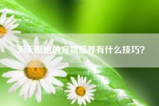 天天酷跑的宠物培养有什么技巧？