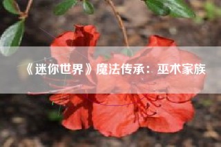 《迷你世界》魔法传承：巫术家族