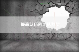 提高队伍的团队默契