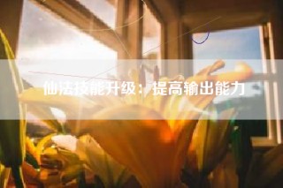 仙法技能升级：提高输出能力