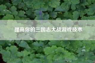 提高你的三国志大战游戏技术