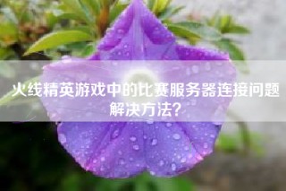 火线精英游戏中的比赛服务器连接问题解决方法？