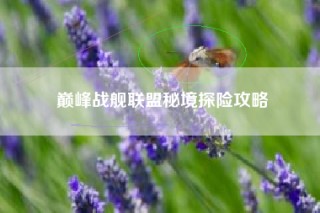 巅峰战舰联盟秘境探险攻略