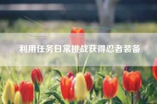 利用任务日常挑战获得忍者装备