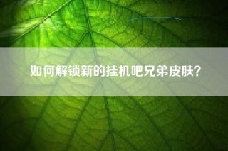 如何解锁新的挂机吧兄弟皮肤？