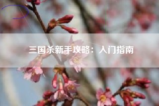 三国杀新手攻略：入门指南