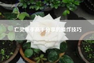 亡灵杀手高手分享的操作技巧