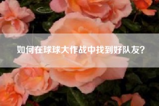 如何在球球大作战中找到好队友？