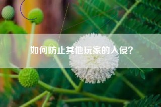 如何防止其他玩家的入侵？