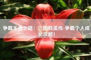 争霸王者之路：三国群英传-争霸个人成长攻略！