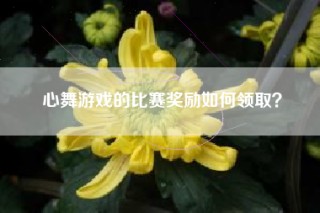 心舞游戏的比赛奖励如何领取？