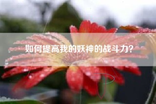 如何提高我的妖神的战斗力？