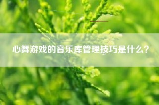心舞游戏的音乐库管理技巧是什么？