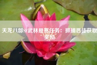 天龙八部SF武林悬赏任务：抓捕恶徒获取奖励