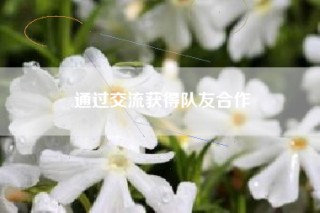 通过交流获得队友合作