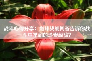 战斗心得分享：巅峰战舰问答告诉你战斗中学到的珍贵经验？