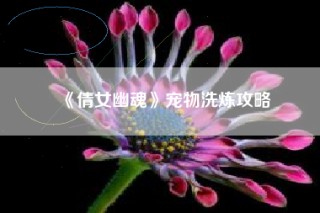 《倩女幽魂》宠物洗炼攻略