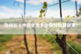 如何在《木筏求生》中保持精神健康？
