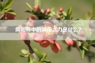 阴阳师中的阴阳之力是什么？