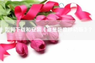 如何下载和安装《谁是卧底移动版》？