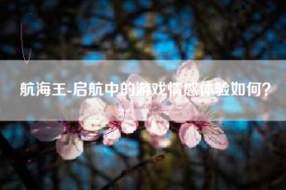 航海王-启航中的游戏情感体验如何？