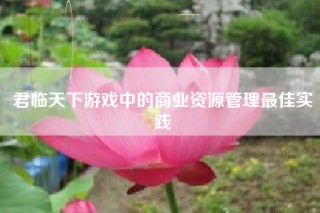 君临天下游戏中的商业资源管理最佳实践