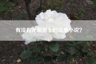 有没有光明勇士的故事小说？