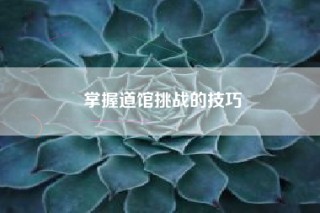 掌握道馆挑战的技巧