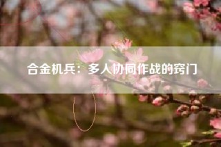合金机兵：多人协同作战的窍门