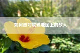 如何应对联盟地图上的敌人