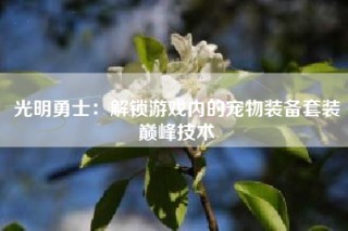 光明勇士：解锁游戏内的宠物装备套装巅峰技术