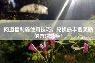 问道福利码使用技巧，兑换最丰富奖励的方法分享！
