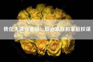 我在大清当皇帝：政治家族和家庭权谋