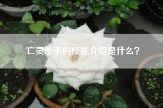 亡灵杀手的技能介绍是什么？