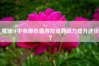 魔域SF中有哪些值得投资的战力提升途径？