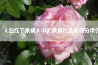 《在线下象棋》中的象棋比赛如何分级？