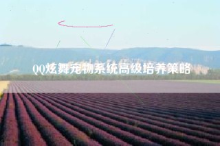 QQ炫舞宠物系统高级培养策略
