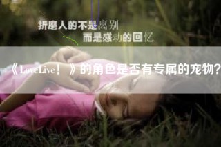《LoveLive！》的角色是否有专属的宠物？