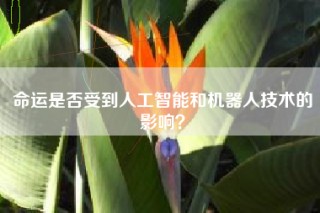 命运是否受到人工智能和机器人技术的影响？