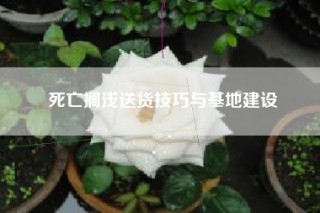 死亡搁浅送货技巧与基地建设