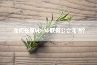 如何在魔域SF中获得公会宠物？