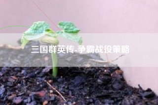 三国群英传-争霸战役策略