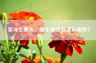 圣斗士星矢：重生有哪些可玩角色？