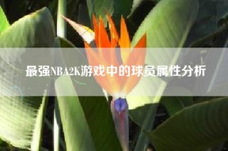 最强NBA2K游戏中的球员属性分析