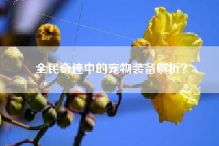 全民奇迹中的宠物装备解析？