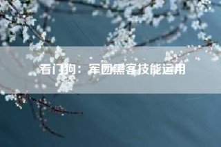 看门狗：军团黑客技能运用