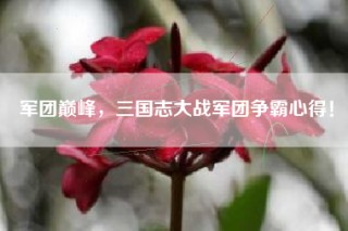 军团巅峰，三国志大战军团争霸心得！